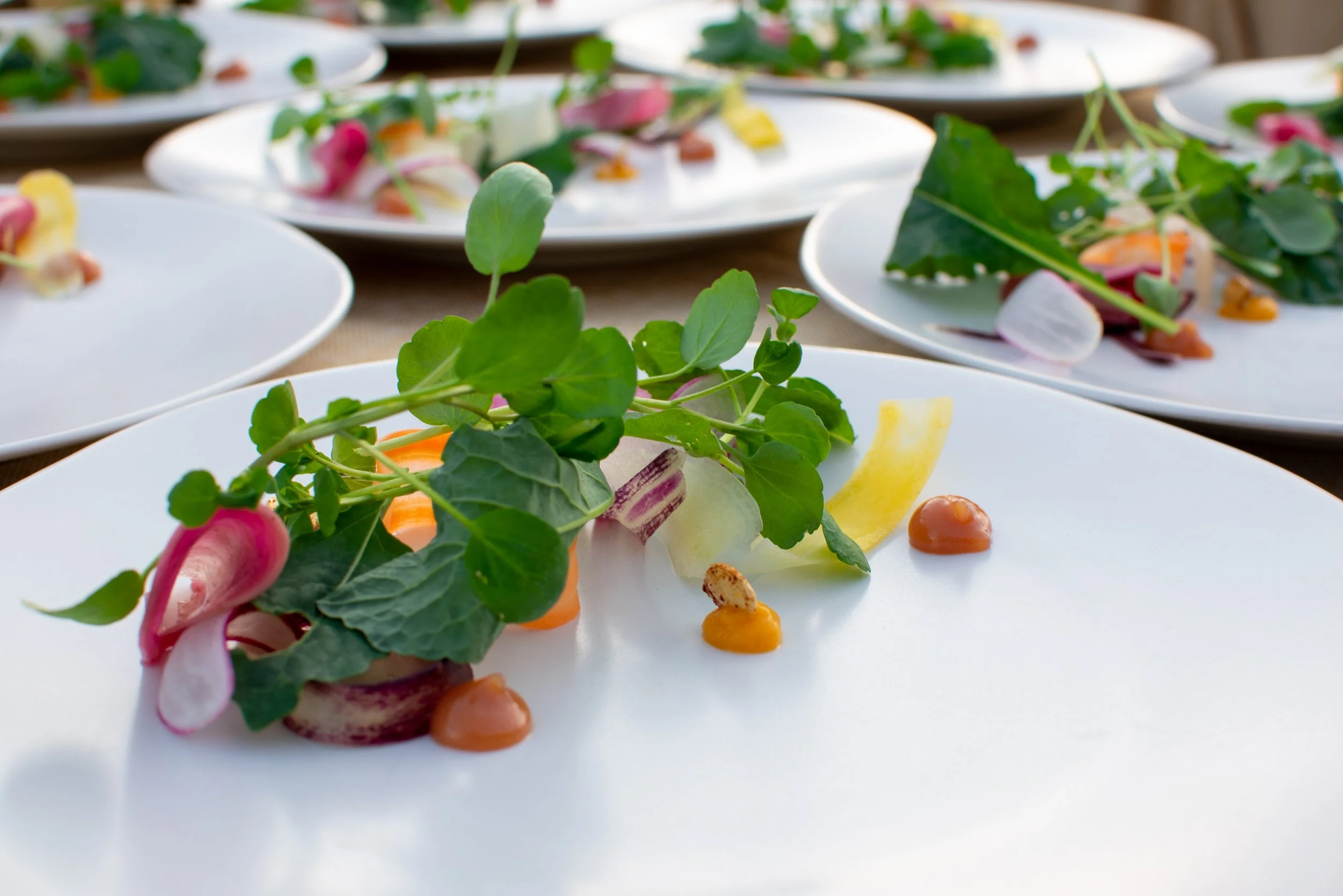 Plated dish, side-lit on a dark ground
